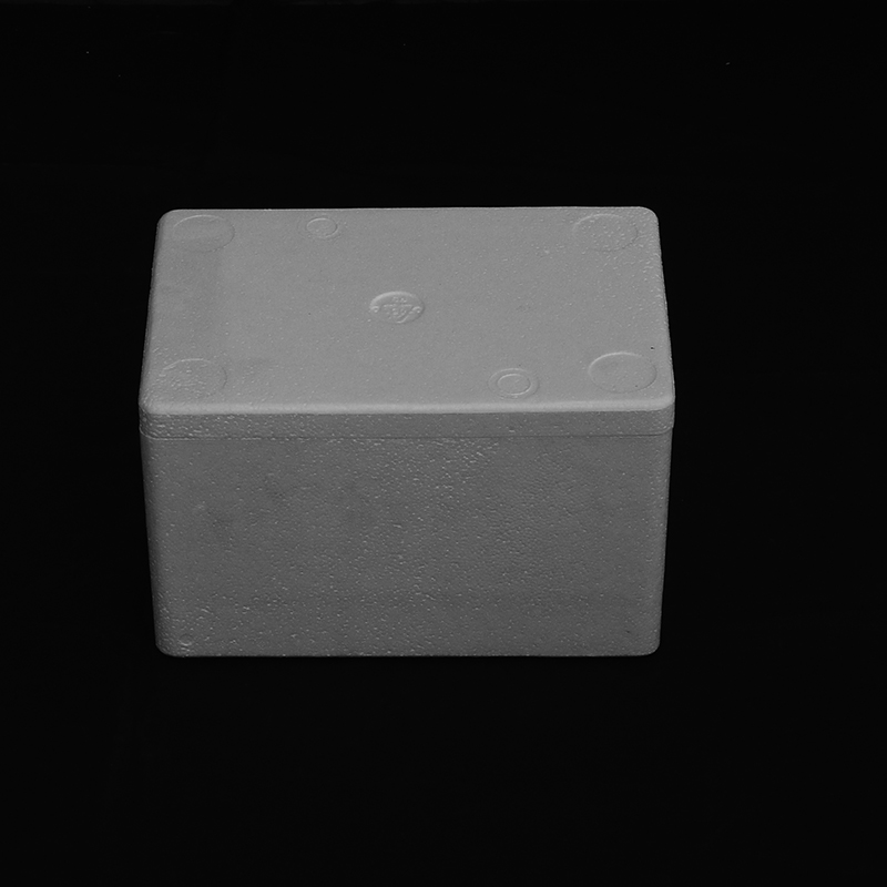 防震包装塑料箱 保暖隔热 食品运输包装 白色泡沫箱(1)